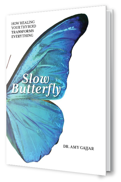slow butterfly ebook cover